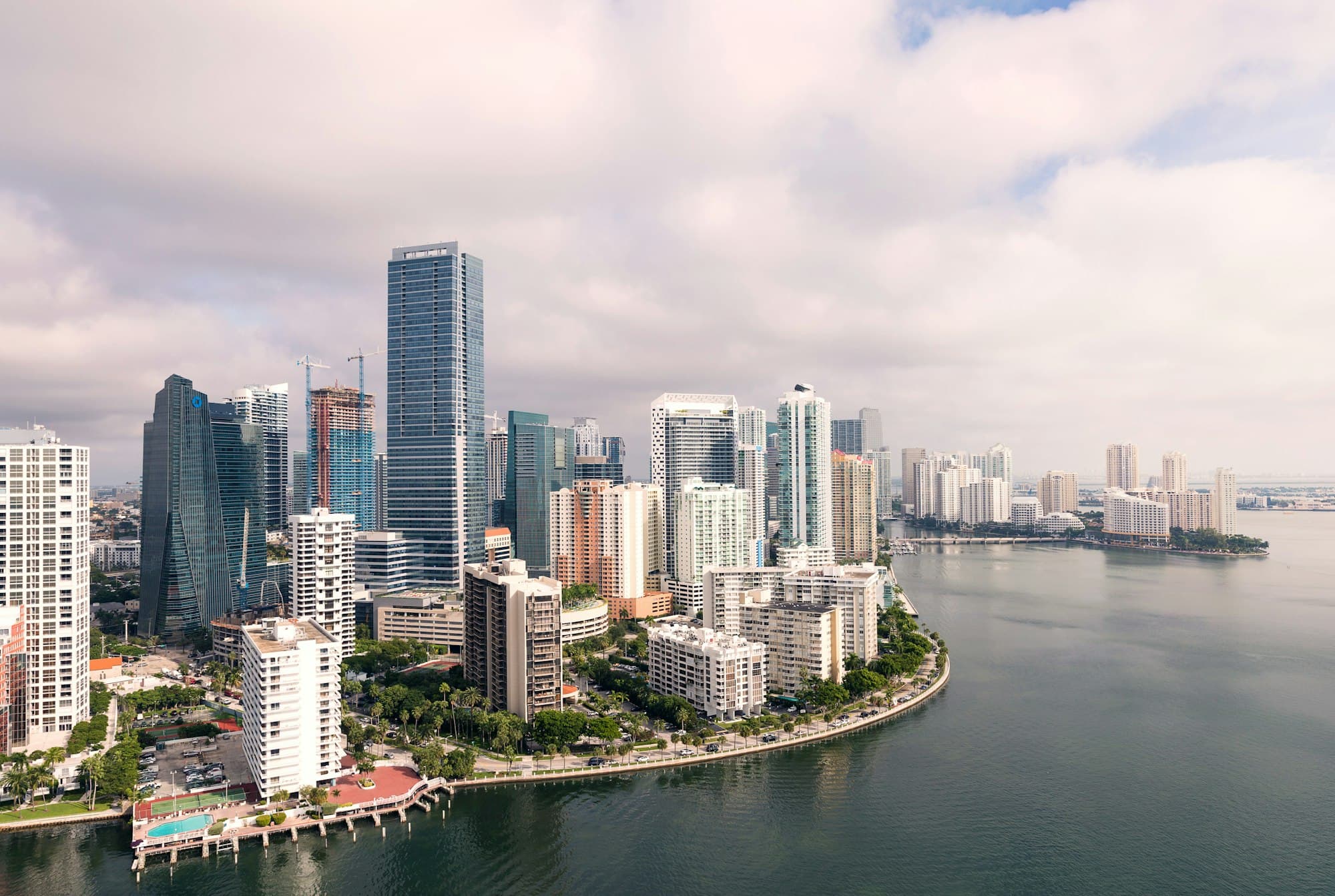 Miami beach skyline with palm trees