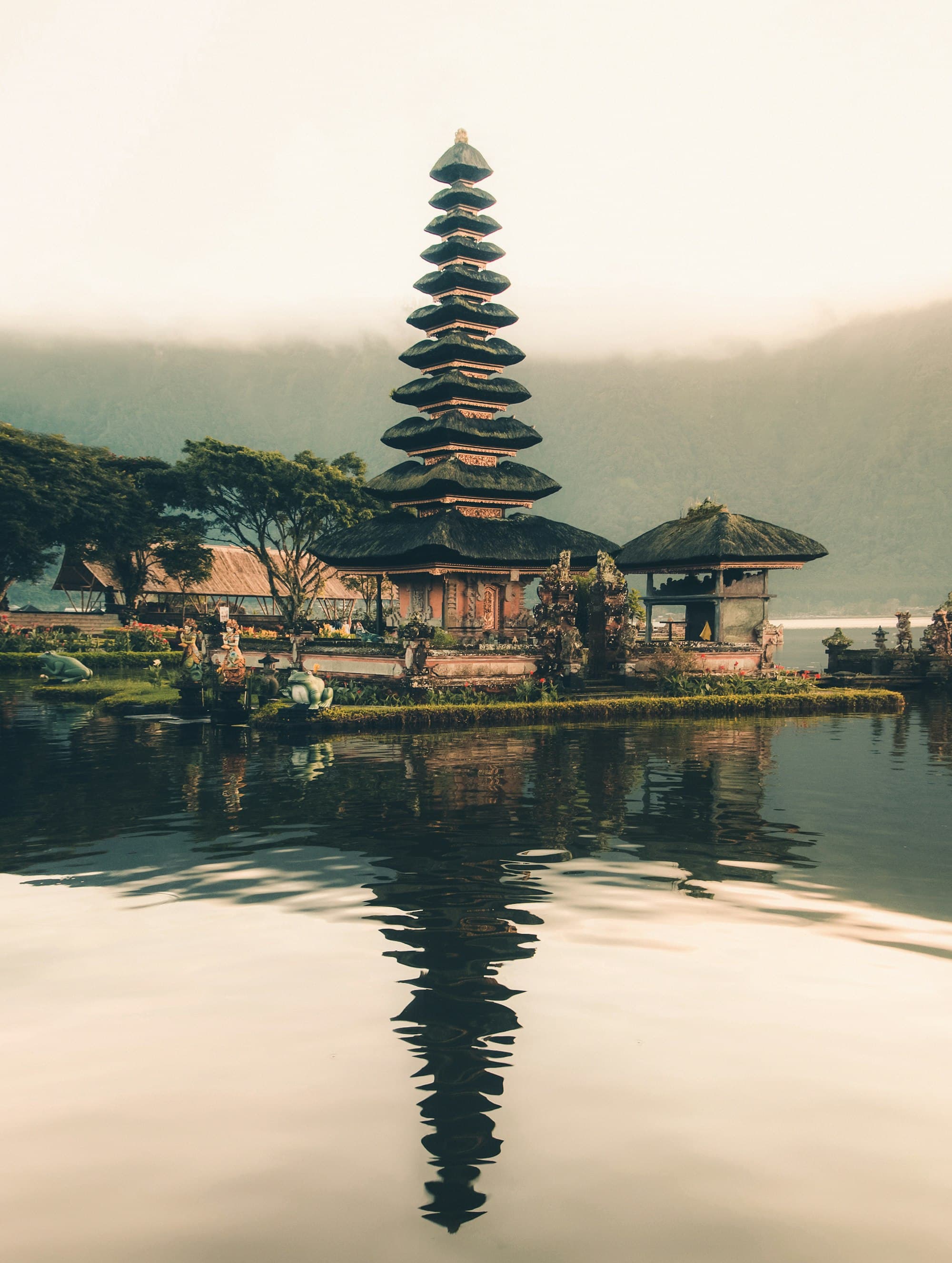 Terraced rice paddies in Bali, Indonesia, at sunrise